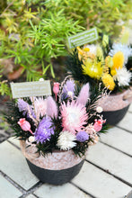 將圖片載入圖庫檢視器 迷你綠意草編籃 |Greenery in Braided Basket