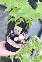 將圖片載入圖庫檢視器 迷你綠意草編籃 |Greenery in Braided Basket