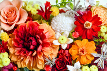 將圖片載入圖庫檢視器 大理花富貴花盒 │Dahlia Flower Box