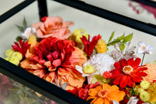 將圖片載入圖庫檢視器 大理花富貴花盒 │Dahlia Flower Box