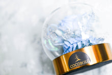 將圖片載入圖庫檢視器 夏日冰藍玫瑰花球│Summer Blue Rose With Glass Dome