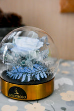 將圖片載入圖庫檢視器 夏日冰藍玫瑰花球│Summer Blue Rose With Glass Dome