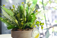 將圖片載入圖庫檢視器 野草的後來│Preserved Potted Plant