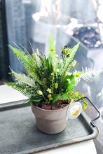 將圖片載入圖庫檢視器 野草的後來│Preserved Potted Plant