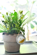 將圖片載入圖庫檢視器 野草的後來│Preserved Potted Plant