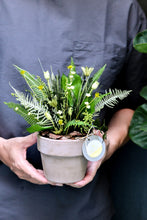 將圖片載入圖庫檢視器 野草的後來│Preserved Potted Plant