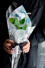 將圖片載入圖庫檢視器 唯一 ‧ 波卡點恆星玫瑰花 │ Preserved Rose With Polka Dot Paper Wrapping