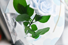 將圖片載入圖庫檢視器 唯一 ‧ 波卡點恆星玫瑰花 │ Preserved Rose With Polka Dot Paper Wrapping