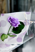 將圖片載入圖庫檢視器 唯一 ‧ 波卡點恆星玫瑰花 │ Preserved Rose With Polka Dot Paper Wrapping