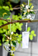 將圖片載入圖庫檢視器 夏光鈴蘭 │ Lily Bells in Summer Light