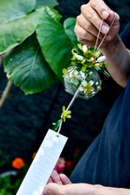 將圖片載入圖庫檢視器 夏光鈴蘭 │ Lily Bells in Summer Light