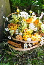 將圖片載入圖庫檢視器 守護家園 │The Gentle Nest