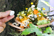 將圖片載入圖庫檢視器 守護家園 │The Gentle Nest