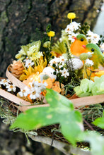 將圖片載入圖庫檢視器 守護家園 │The Gentle Nest