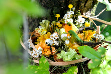 將圖片載入圖庫檢視器 守護家園 │The Gentle Nest