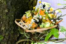 將圖片載入圖庫檢視器 守護家園 │The Gentle Nest