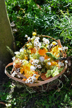 將圖片載入圖庫檢視器 守護家園 │The Gentle Nest