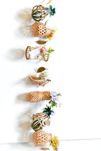 將圖片載入圖庫檢視器 自然之間 |Where Nature Lives