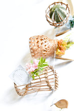 將圖片載入圖庫檢視器 自然之間 |Where Nature Lives