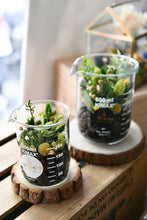 將圖片載入圖庫檢視器 Small World with Green and Coffee Beans│男子漢の燒杯