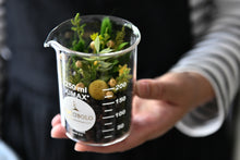 將圖片載入圖庫檢視器 Small World with Green and Coffee Beans│男子漢の燒杯