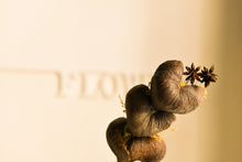 將圖片載入圖庫檢視器 心星相印 名片架與桌飾