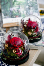 將圖片載入圖庫檢視器 非凡洋紅玫瑰玻璃罩│Preserved Flowers Dome With the Color of Viva Magenta