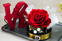 將圖片載入圖庫檢視器 紅玫瑰祈願羽球│Preserved Red Rose With Glass Dome