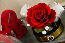 將圖片載入圖庫檢視器 紅玫瑰祈願羽球│Preserved Red Rose With Glass Dome