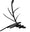 COCOBOLO 可可菠蘿花藝 logo