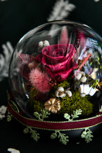 將圖片載入圖庫檢視器 非凡洋紅玫瑰玻璃罩│Preserved Flowers Dome With the Color of Viva Magenta
